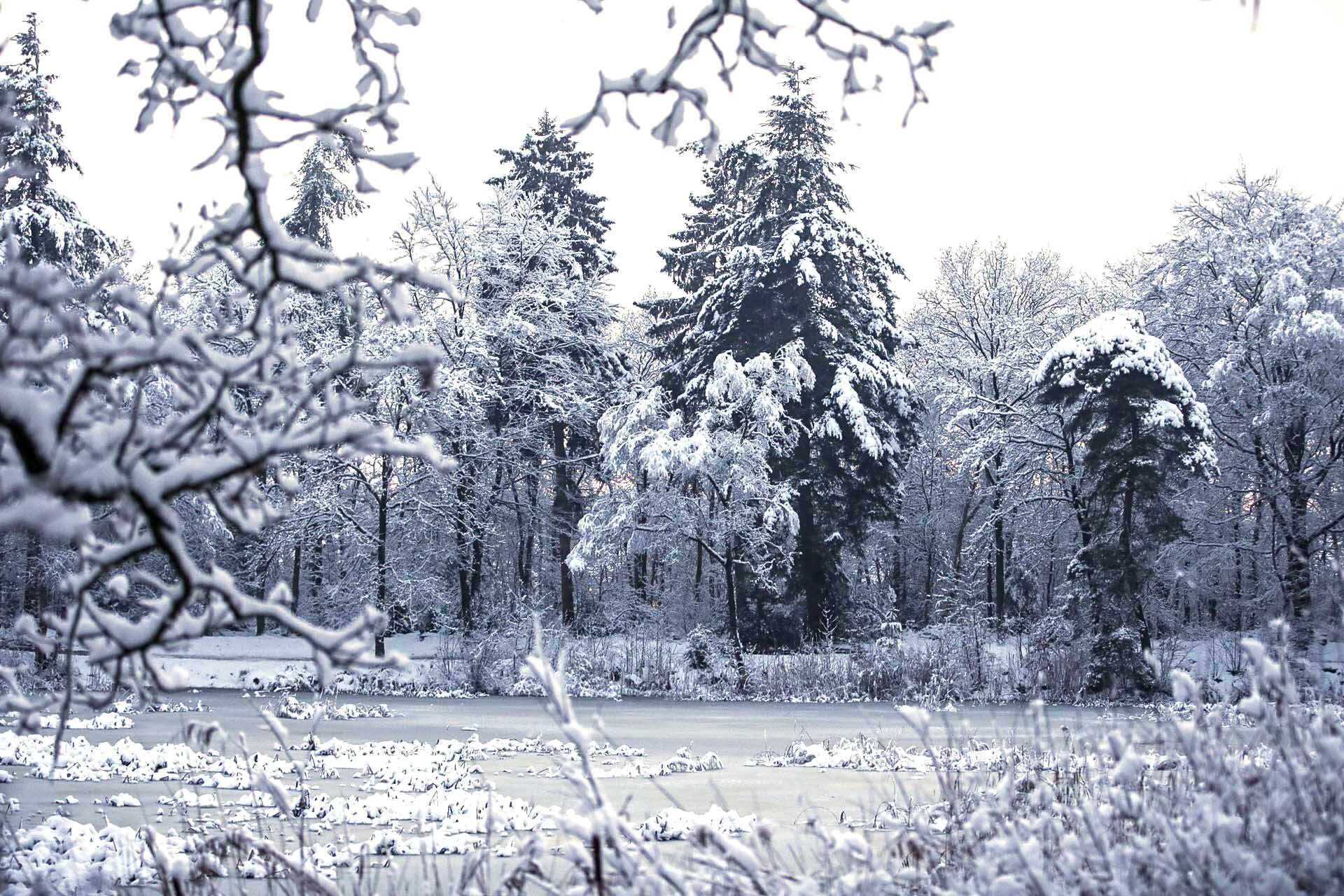 260106 SintNyk sneeuw 6 c SprekendCleo