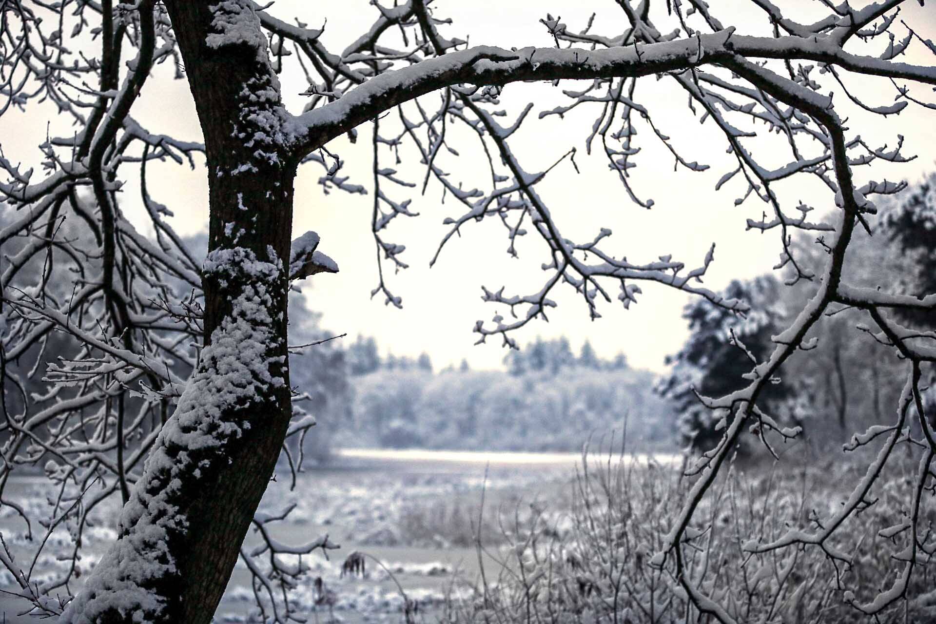 260106 SintNyk sneeuw 7 c SprekendCleo