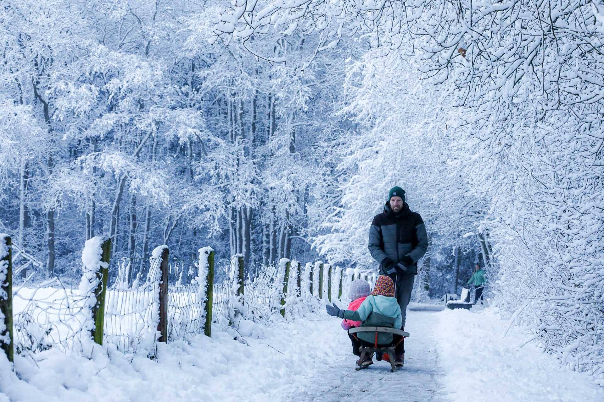 Winterpret en wandelen door een wit bebost landschap