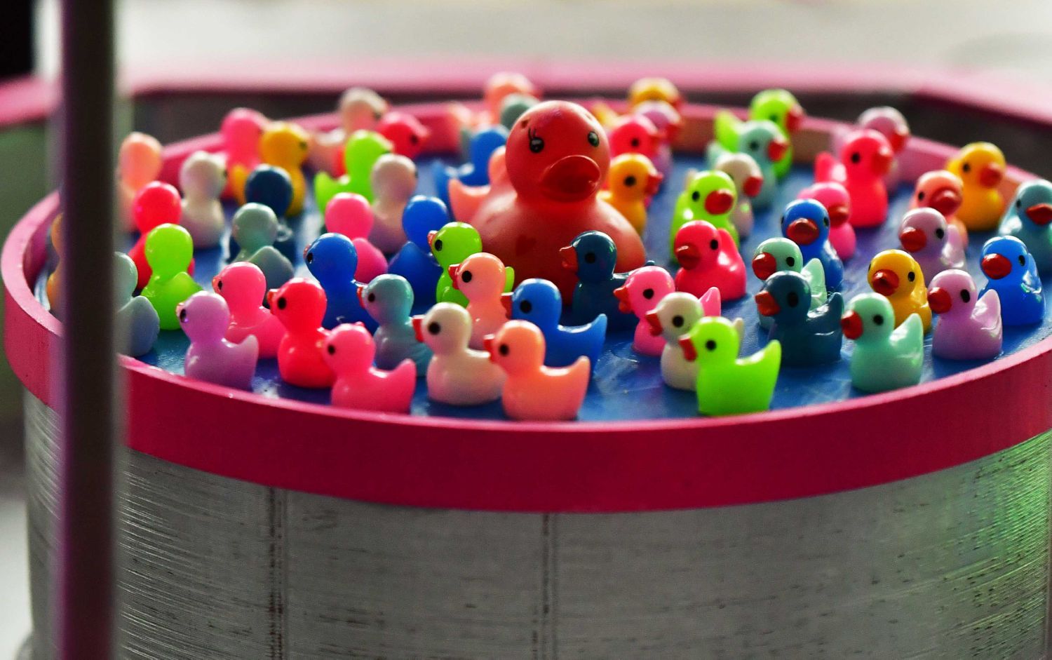 260228 SintNyk Kermisexpo 12 c AlieZijlstra 1500