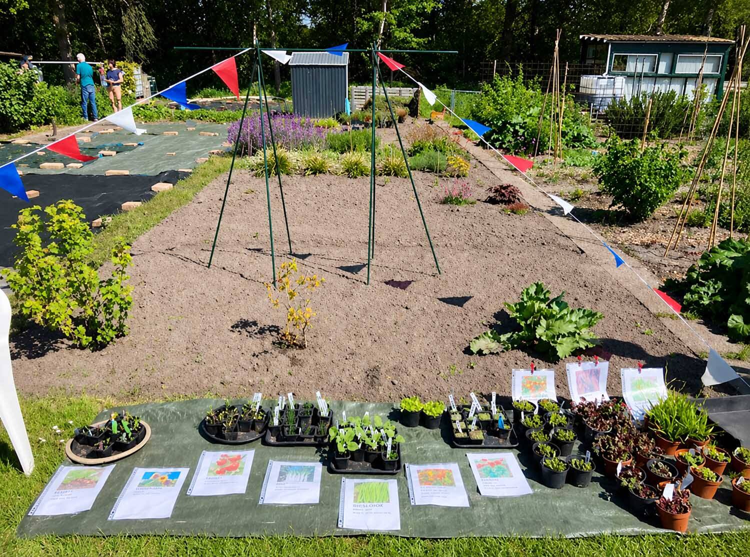 260521 SIntNyk Bloeiweek volkstuinen plantjesmarkt 3