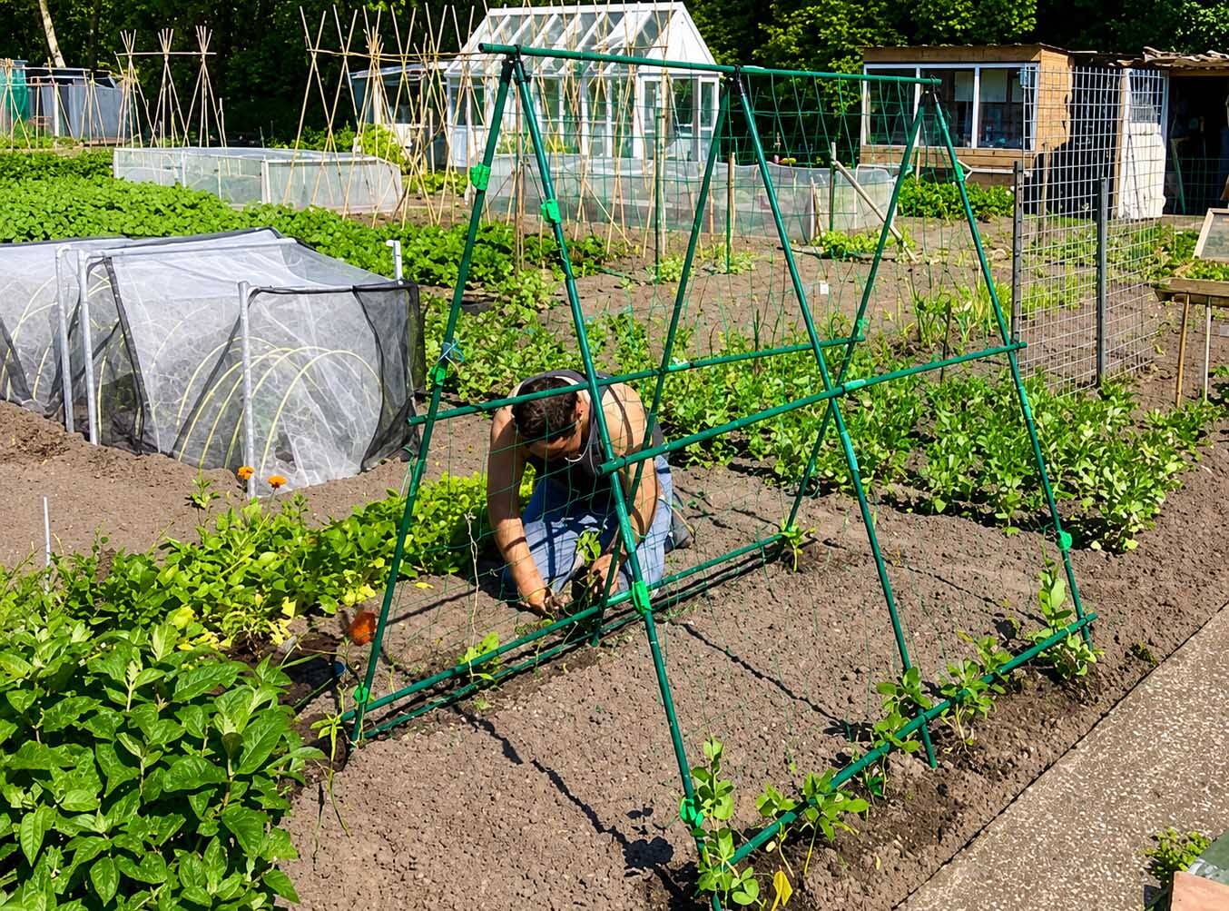 260521 SIntNyk Bloeiweek volkstuinen plantjesmarkt 4