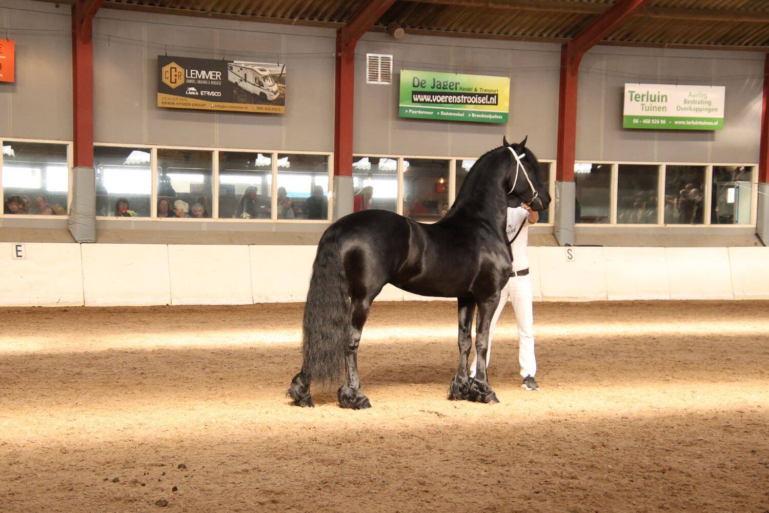 260321 SintNyk hengstenshow 12 c YvonneBijma 1500