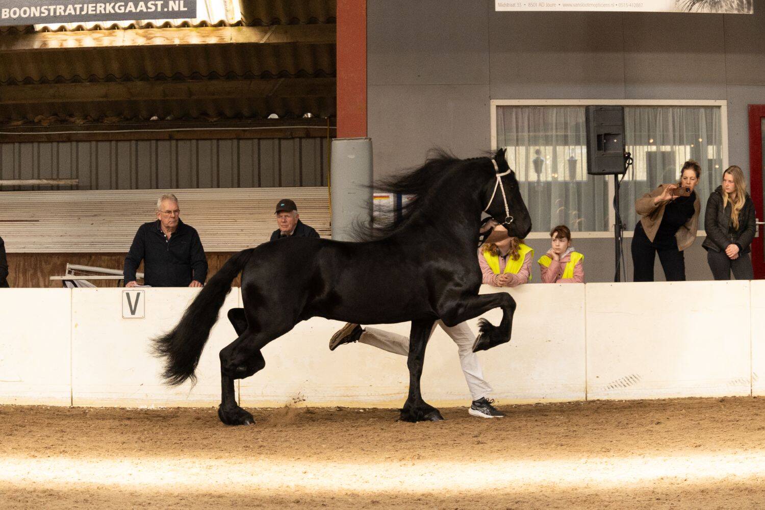 260321 SintNyk hengstenshow 13 c YvonneBijma 1500