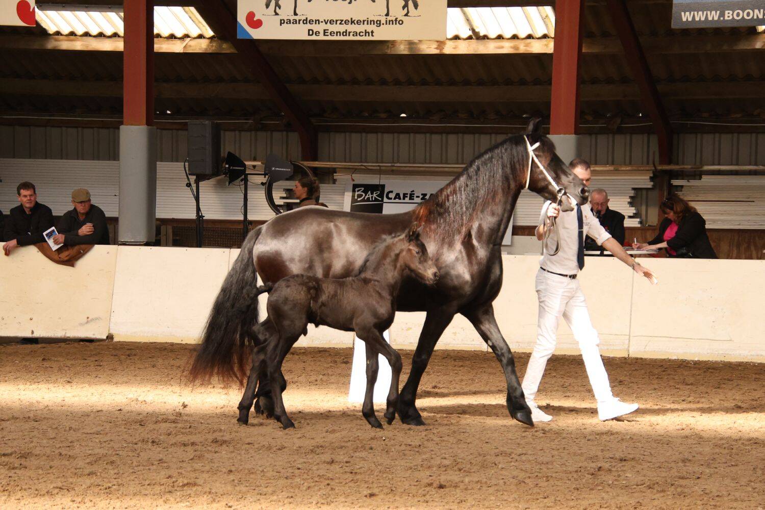 260321 SintNyk hengstenshow 14 c YvonneBijma 1500