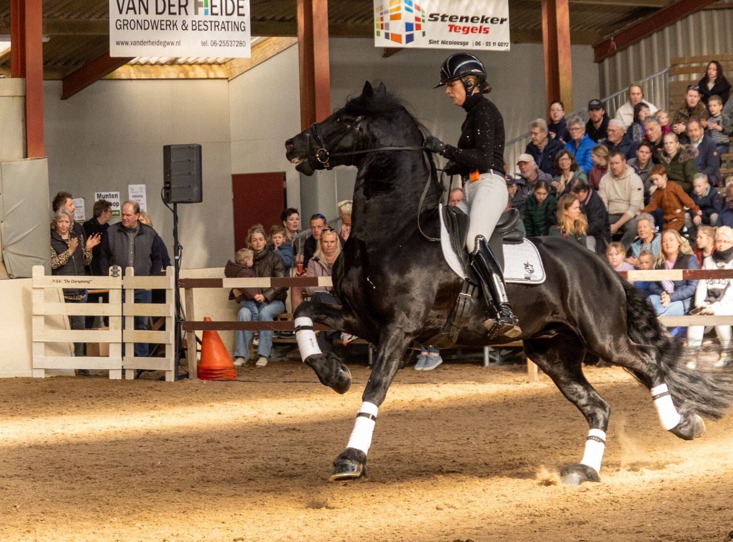 260321 SintNyk hengstenshow 15 c YvonneBijma 1500