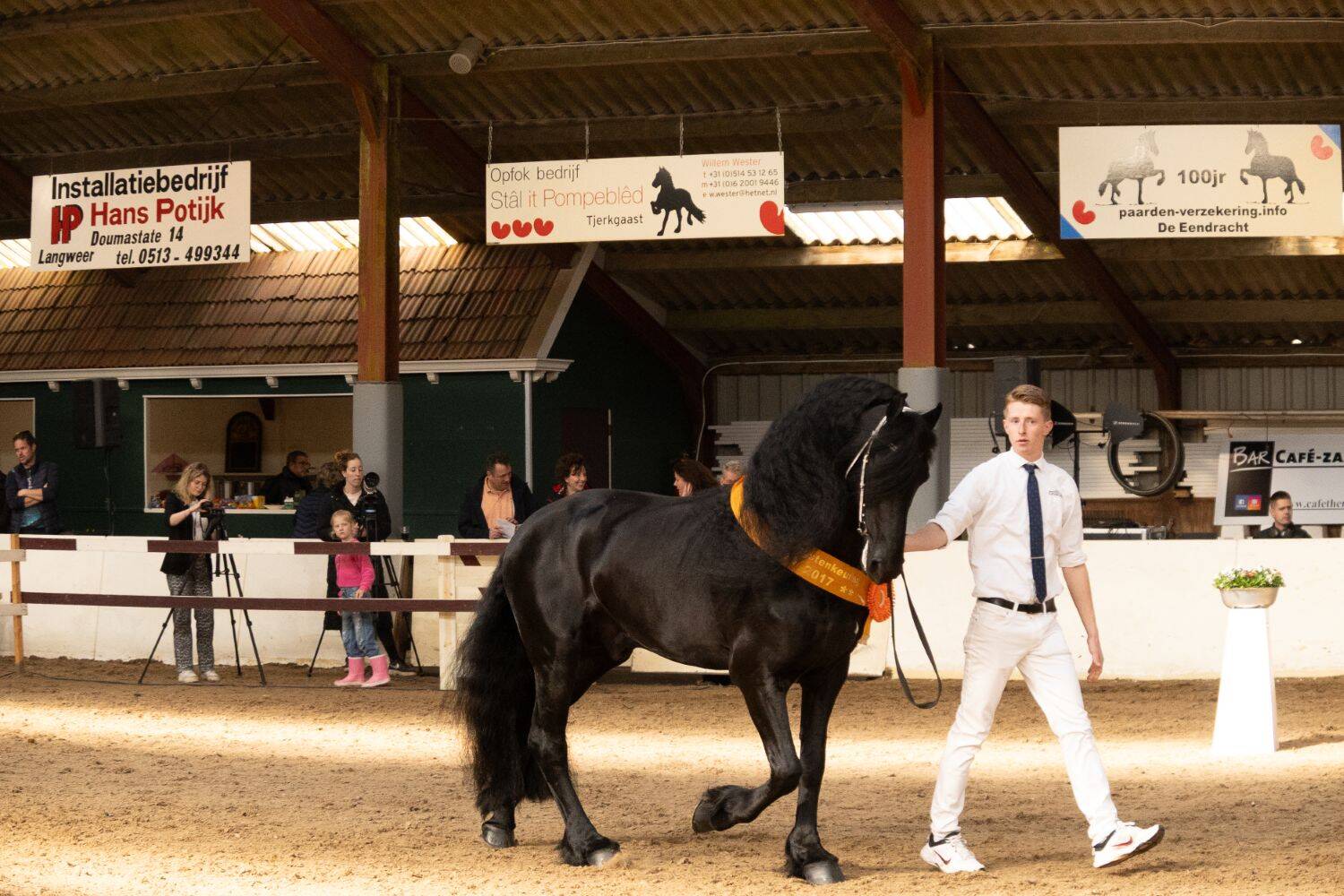 260321 SintNyk hengstenshow 16 c YvonneBijma 1500