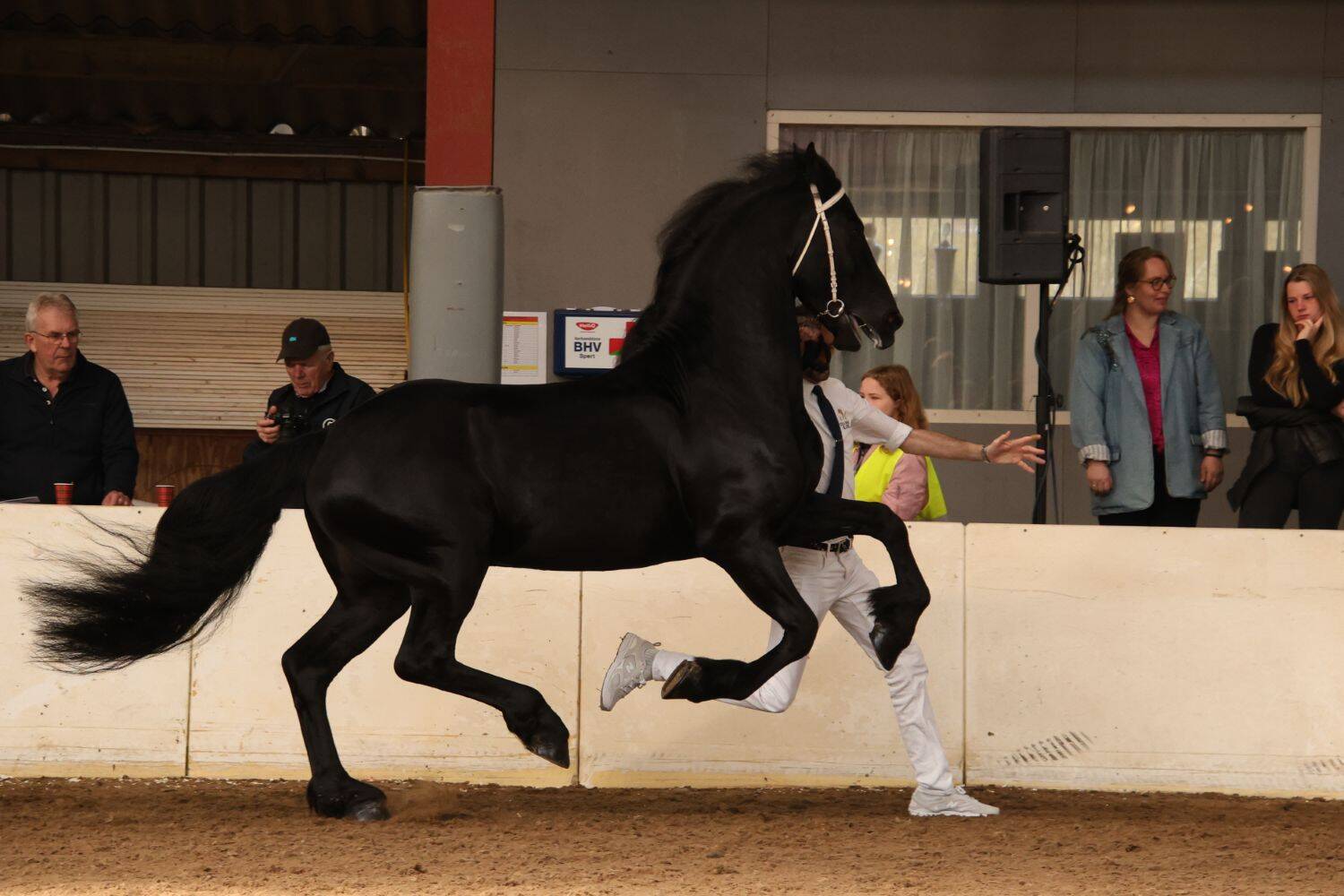 260321 SintNyk hengstenshow 17 c YvonneBijma 1500