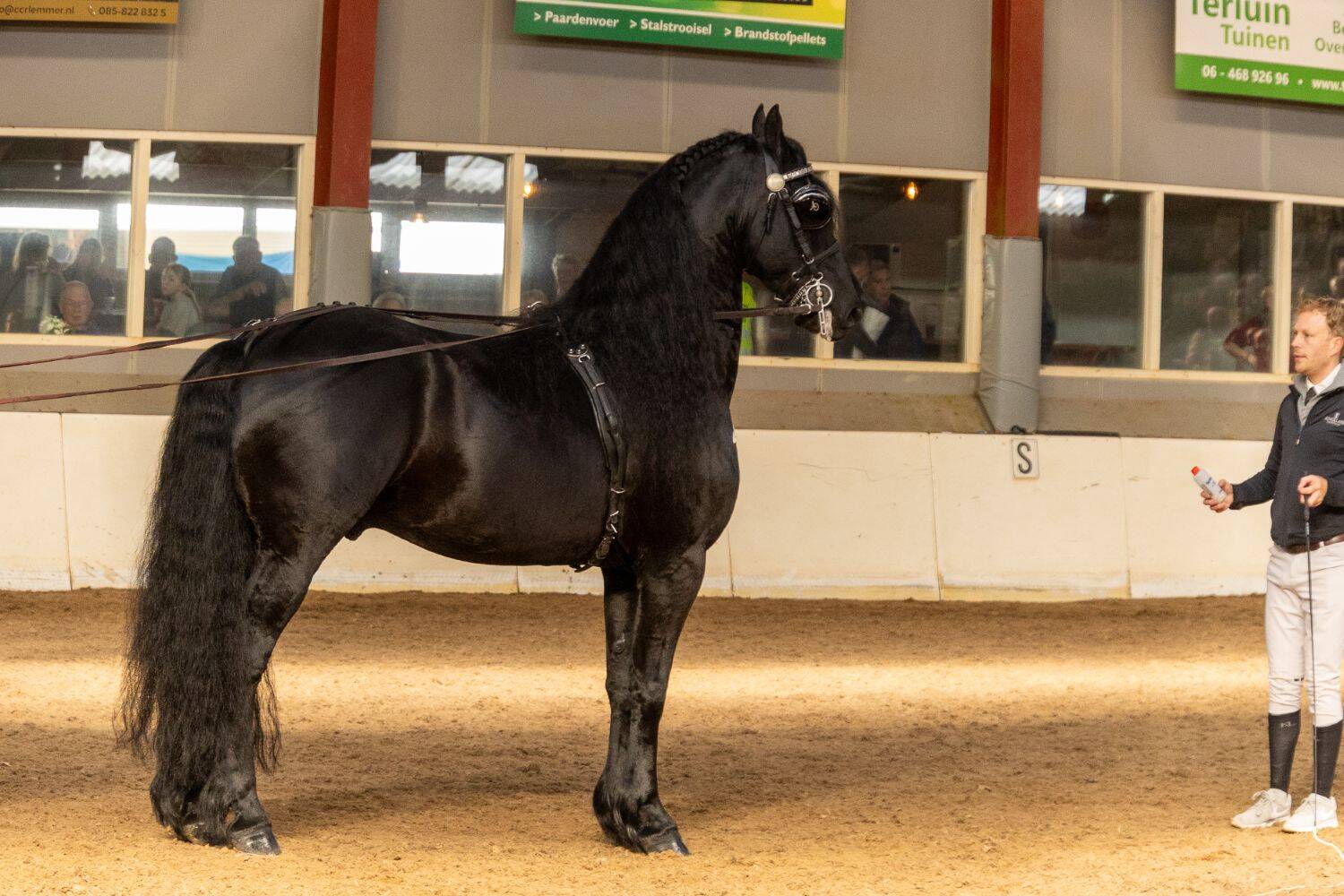 260321 SintNyk hengstenshow 23 c YvonneBijma 1500