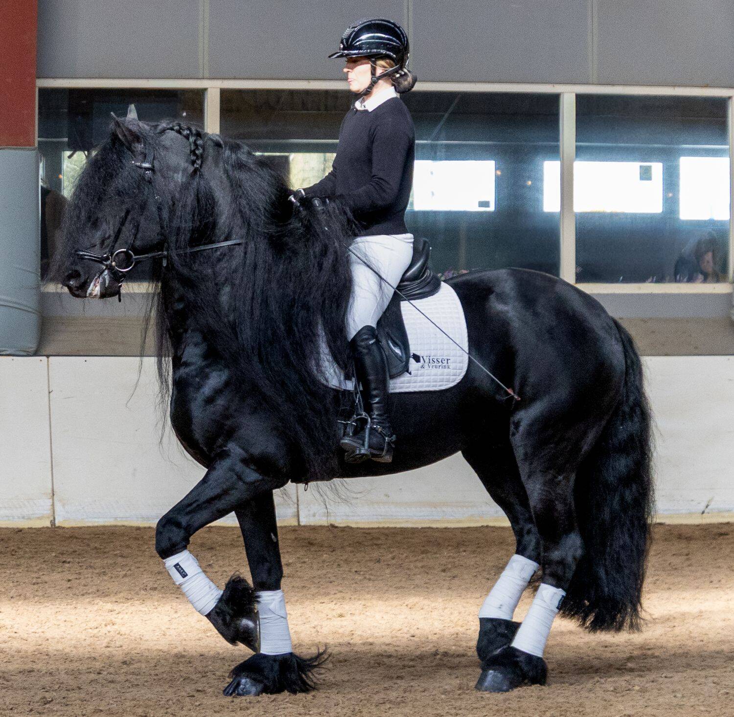 260321 SintNyk hengstenshow 25 c YvonneBijma 1500