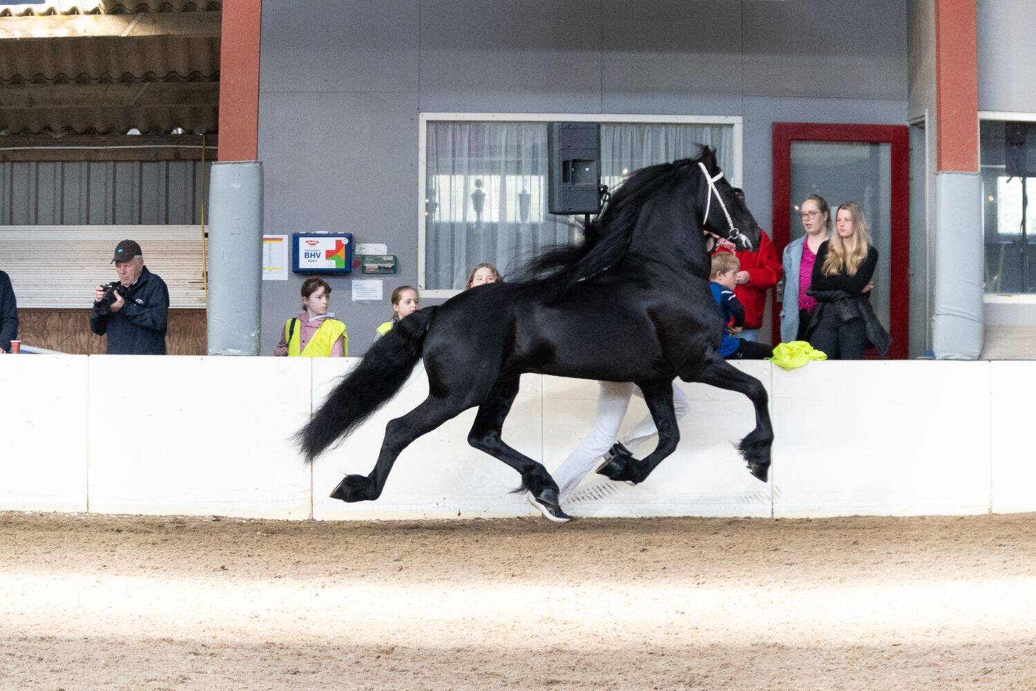 260321 SintNyk hengstenshow 27 c YvonneBijma 1500