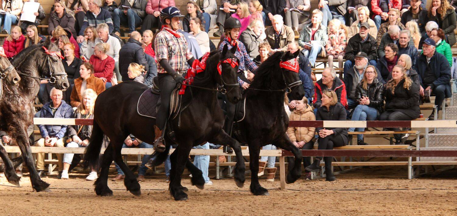 260321 SintNyk hengstenshow 6 c YvonneBijma 1500