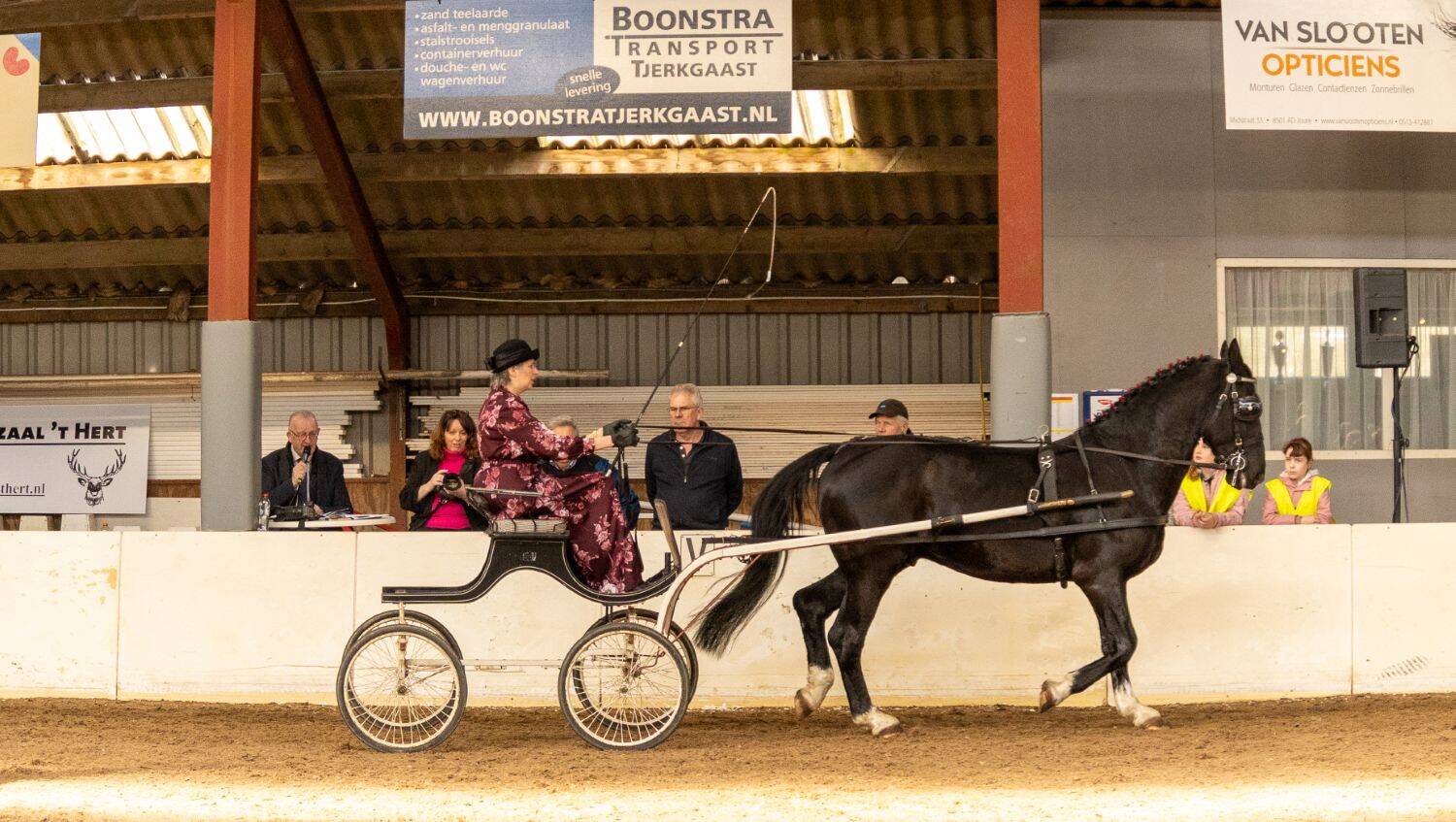 260321 SintNyk hengstenshow 9 c YvonneBijma 1500