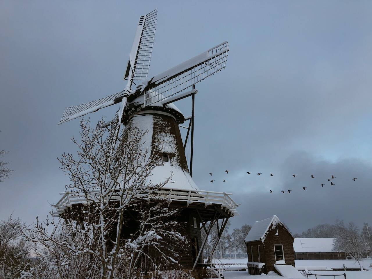 260105 Langweer MolenBoornzwaag RypkeZeilmaker