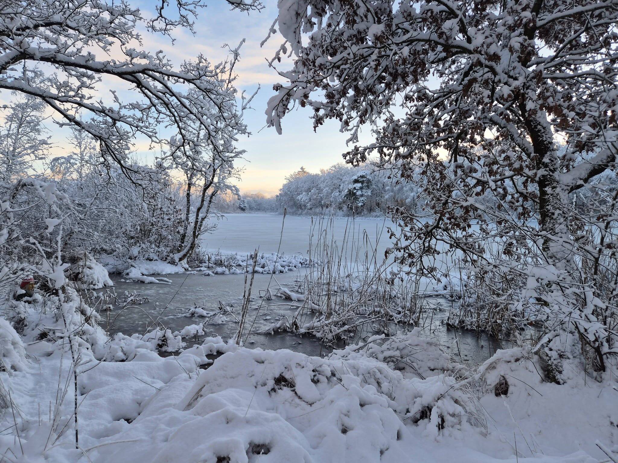 260105 SintNyk bosvijver SimondeBoer