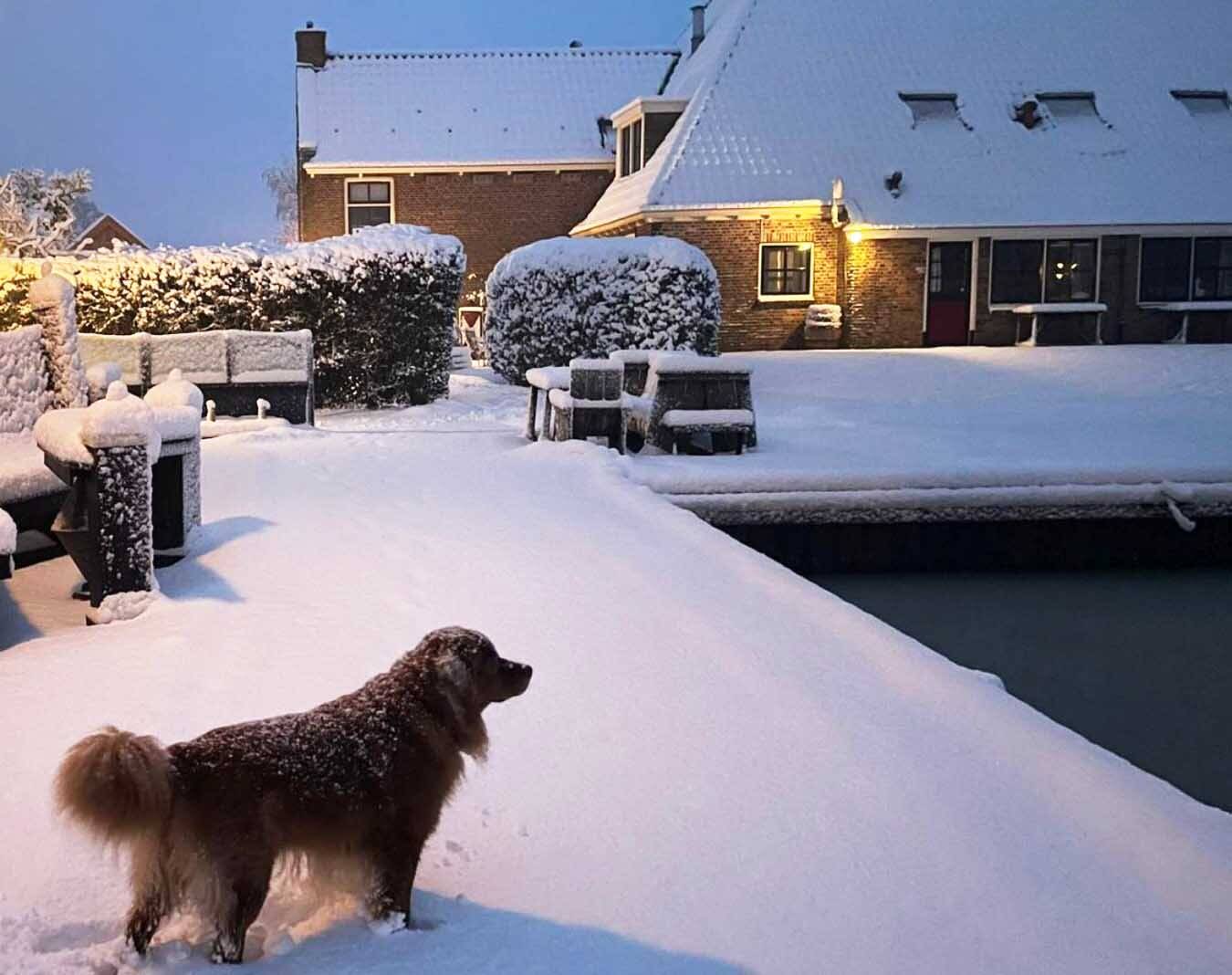 260106 Idskenhuizen DeKoevoet