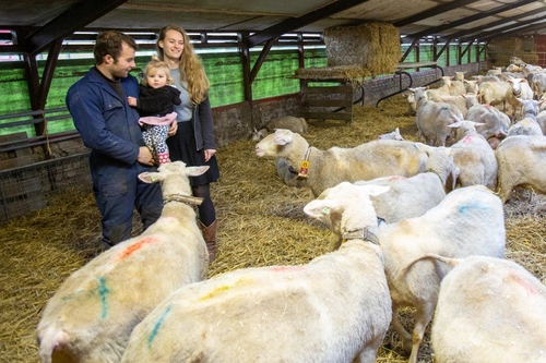 fam boogaard Tjerkgaast 1