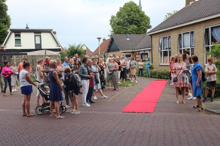 paedwizer 1