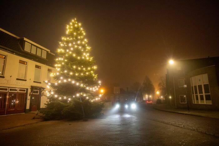 kerstboom 2022 6