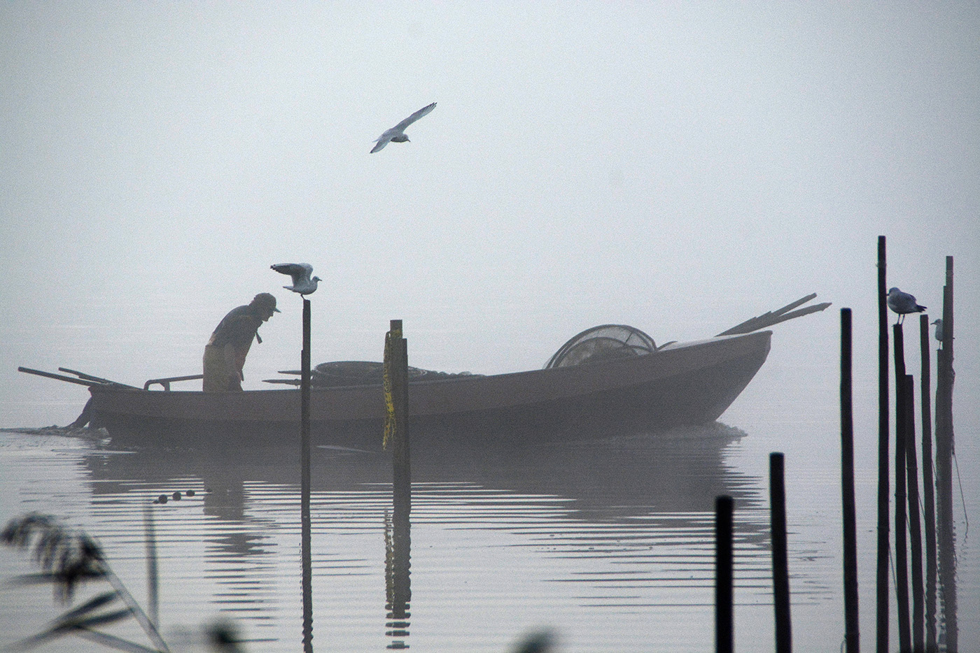 150923 Thewes visserman op Tjeukemeer 1400