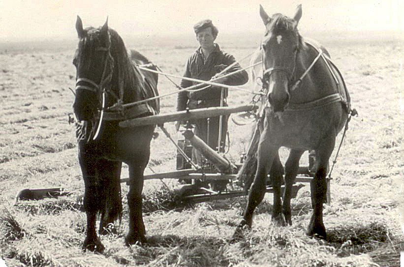 Agricola Cees 1958 straatweg