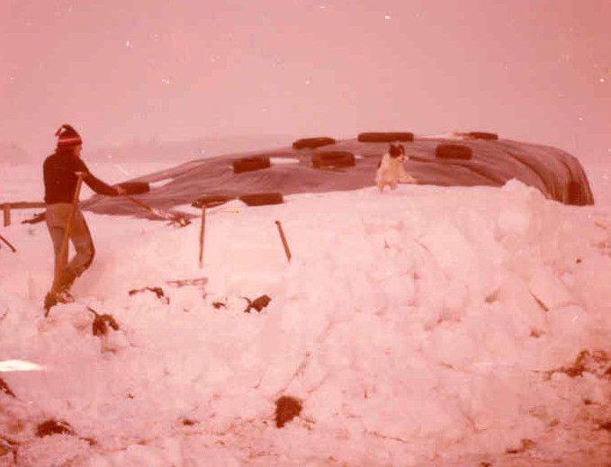 winter 1979 11
