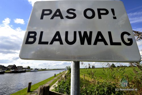 Blauwalg waarschuwing