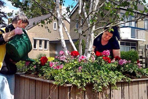 Plaatselijk Belang Sint Nicolaasga heeft in samenwerking met Flowerly Bosma de bloembakken weer up-to-date gemaakt. Lisa en Michelle Boonstra hebben de taak op zich genomen om de bloemen regelmatig water te geven. Plaatselijk Belang is nog bezig om hangpotten aan de lantarenpalen rondom het plein te plaatsen. Dit om het centrum nog meer kleur te geven. Voor deze planten is plaatselijk belang nog op zoek naar watergevers.