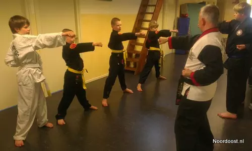 Hapkido Martial Arts De Oase