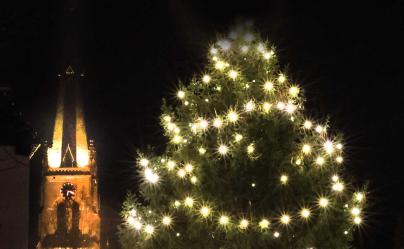 Scholen Langweer en Scharsterbrug zamelen kerstbomen in