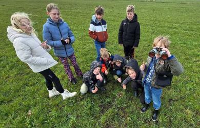 ,,Verontrustende broedresultaten weidevogels Doniaga en Tjerkgaast”