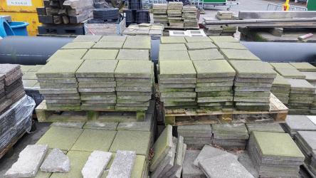 NK Tegelwippen 2025 voor een groene tuin