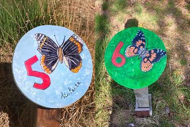 Kabouterpad Vegelinbossen woensdagavond bij de Omrop in Hea