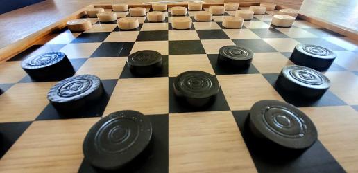 Schooljeugd Scharsterbrug maakt kennis met Frysk dammen