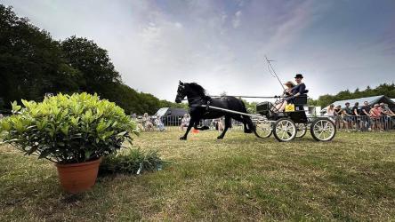 Konag-Jumbo tuigmiddag Sint Nyk viert tiende editie