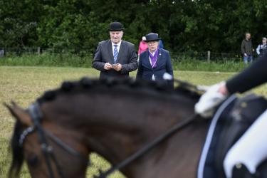 Gevarieerde jubileumeditie van Konag-Jumbo-tuigmiddag Sint Nyk