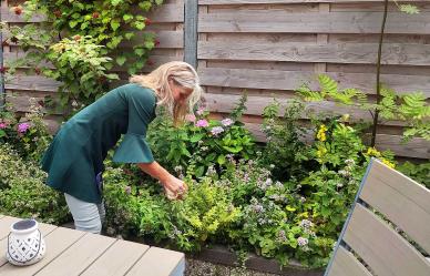 Rondleiding met uitleg over gezonde planten in kruidentuin Sint Nyk