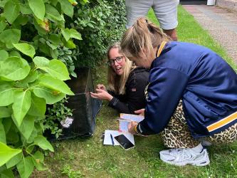 De woensdag in beeld; Escape-wandeling razend populair