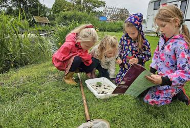 Slootjesdag Teroele: kinderen ontdekken waterbeestjes