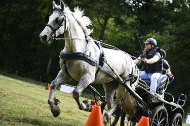Volop sfeer op zonovergoten Paardenmarathon Sint Nyk