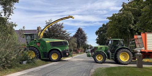 Melkveehouder Sint Nyk haalt snijmais vroeg van het veld