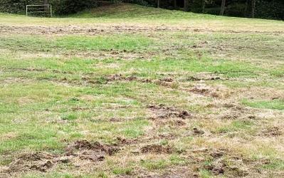 Autocrosser vernielt terrein manege De Oorsprong Sint Nyk