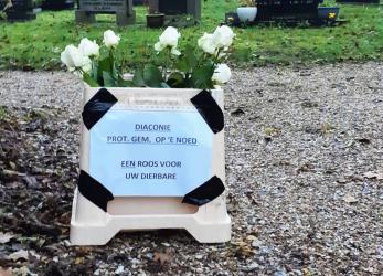 Witte rozen ter herdenking op vijf begraafplaatsen 