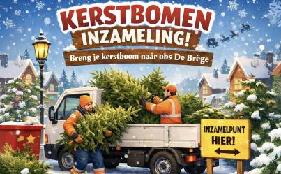 Scholen Langweer en Scharsterbrug zamelen kerstbomen in