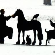 Zwartwit katje gevonden op Westend Sint Nyk