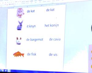 Workshop Frysk skriuwen foar doarpspublyk yn Bloeiwike Sint Nyk