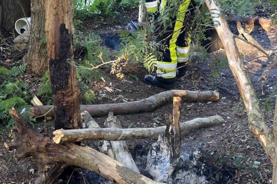 Brandweer blust smeulende grond bij Haulsterbossen