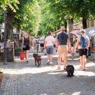 Geslaagde Amsterdamse Dag met veel bezoekers in Langweer