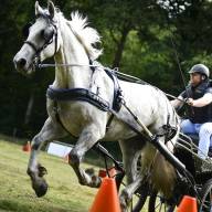 Volop sfeer op zonovergoten Paardenmarathon Sint Nyk