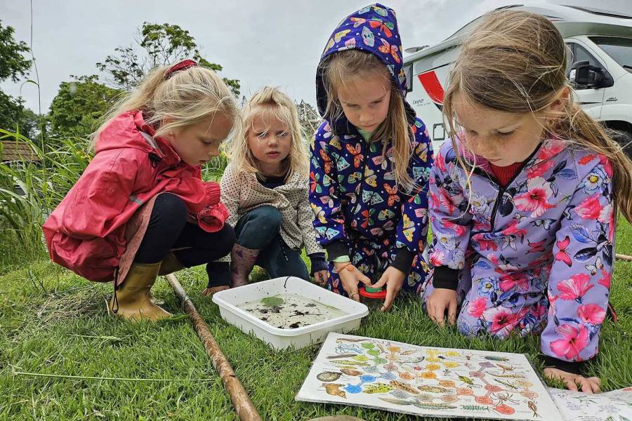 Speurtocht naar beestjes voor jeugd op Slootjesdag Teroele